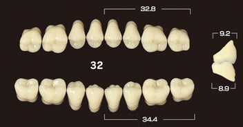 Efucera PX Premium 3-Layer Composite Posterior Lower Denture Teeth - Mega Dental Art Supply
