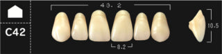 Crown PX Premium 3-Layer Composite Anterior Denture Teeth - Mega Dental Art Supply