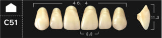 Crown PX Premium 3-Layer Composite Anterior Denture Teeth - Mega Dental Art Supply