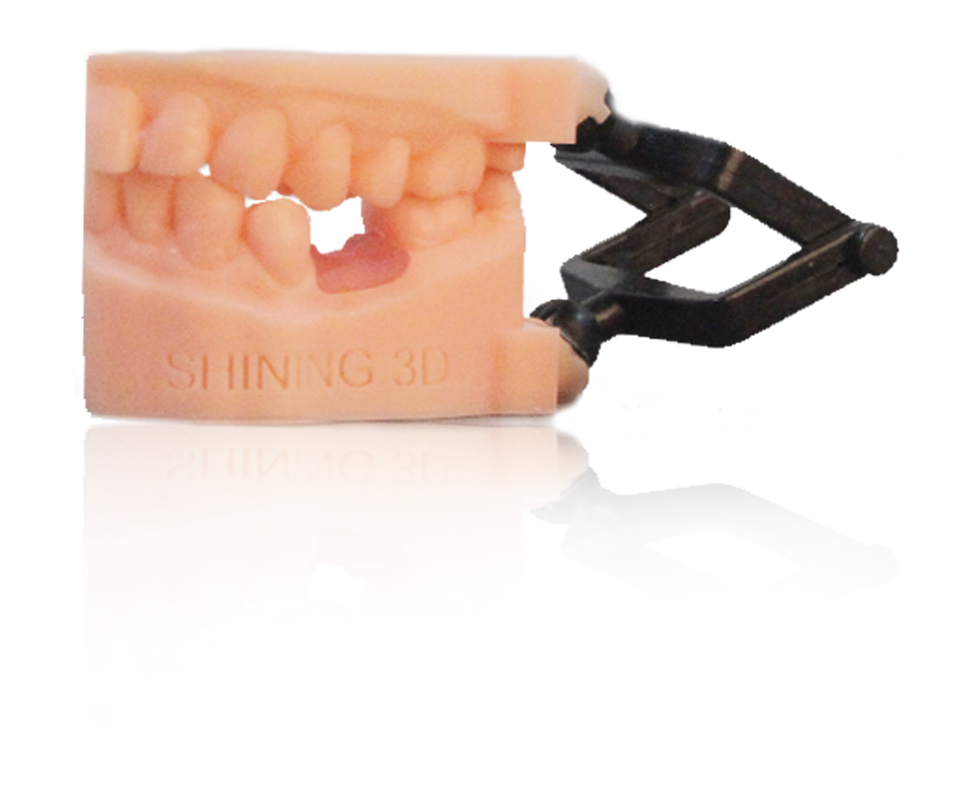 Dental Resin for Dental DLP 3D Printer - Mega Dental Art Supply