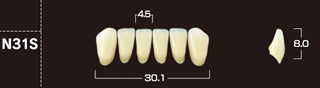 Crown PX Premium 3-Layer Composite Anterior Denture Teeth - Mega Dental Art Supply