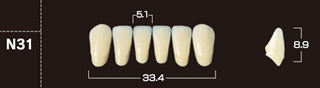 Crown PX Premium 3-Layer Composite Anterior Denture Teeth - Mega Dental Art Supply