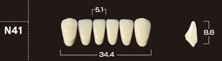 Crown PX Premium 3-Layer Composite Anterior Denture Teeth - Mega Dental Art Supply