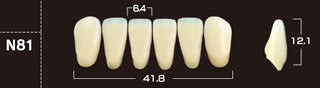 Crown PX Premium 3-Layer Composite Anterior Denture Teeth - Mega Dental Art Supply