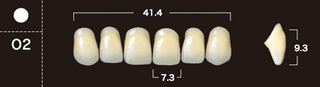 New Ace 2-Layer Acrylic Anterior Denture Teeth - Mega Dental Art Supply