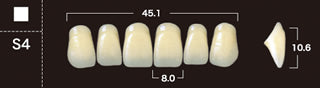New Ace 2-Layer Acrylic Anterior Denture Teeth - Mega Dental Art Supply
