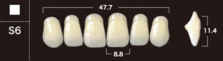 New Ace 2-Layer Acrylic Anterior Denture Teeth - Mega Dental Art Supply