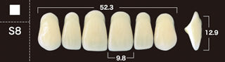 New Ace 2-Layer Acrylic Anterior Denture Teeth - Mega Dental Art Supply