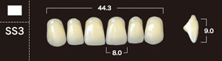 New Ace 2-Layer Acrylic Anterior Denture Teeth - Mega Dental Art Supply