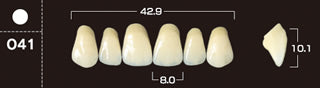 Crown PX Premium 3-Layer Composite Anterior Denture Teeth - Mega Dental Art Supply
