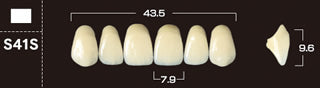 Crown PX Premium 3-Layer Composite Anterior Denture Teeth - Mega Dental Art Supply