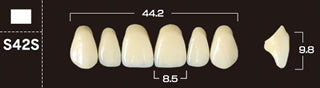 Crown PX Premium 3-Layer Composite Anterior Denture Teeth - Mega Dental Art Supply