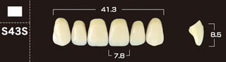 Crown PX Premium 3-Layer Composite Anterior Denture Teeth - Mega Dental Art Supply