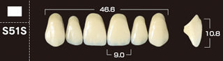 Crown PX Premium 3-Layer Composite Anterior Denture Teeth - Mega Dental Art Supply