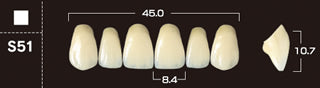 Crown PX Premium 3-Layer Composite Anterior Denture Teeth - Mega Dental Art Supply