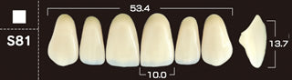 Crown PX Premium 3-Layer Composite Anterior Denture Teeth - Mega Dental Art Supply