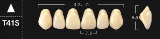 Crown PX Premium 3-Layer Composite Anterior Denture Teeth - Mega Dental Art Supply