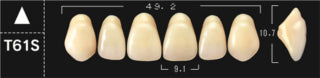 Crown PX Premium 3-Layer Composite Anterior Denture Teeth - Mega Dental Art Supply
