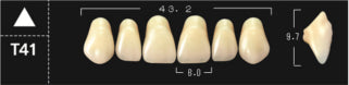 Crown PX Premium 3-Layer Composite Anterior Denture Teeth - Mega Dental Art Supply