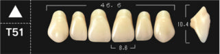 Crown PX Premium 3-Layer Composite Anterior Denture Teeth - Mega Dental Art Supply