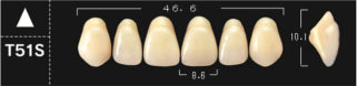 Crown PX Premium 3-Layer Composite Anterior Denture Teeth - Mega Dental Art Supply