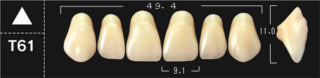 Crown PX Premium 3-Layer Composite Anterior Denture Teeth - Mega Dental Art Supply