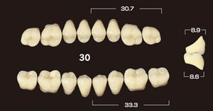 Efucera PX Premium 3-Layer Composite Posterior Lower Denture Teeth - Mega Dental Art Supply