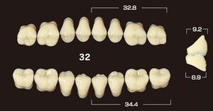 Efucera PX Premium 3-Layer Composite Posterior Upper Denture Teeth - Mega Dental Art Supply