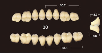 Efucera AC 2-Layer Acrylic 20° Posterior Upper Denture Teeth - Mega Dental Art Supply