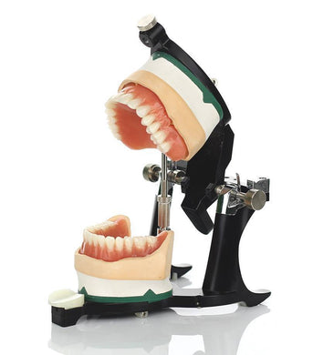 Luxury Deluxe Articulator - Mega Dental Art Supply