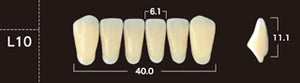 New Ace 2-Layer Acrylic Anterior Denture Teeth - Mega Dental Art Supply