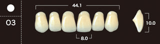 New Ace 2-Layer Acrylic Anterior Denture Teeth - Mega Dental Art Supply