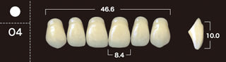New Ace 2-Layer Acrylic Anterior Denture Teeth - Mega Dental Art Supply