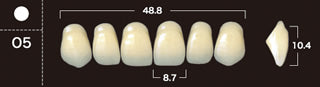 New Ace 2-Layer Acrylic Anterior Denture Teeth - Mega Dental Art Supply