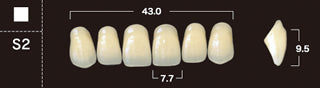 New Ace 2-Layer Acrylic Anterior Denture Teeth - Mega Dental Art Supply