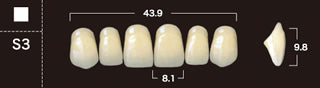 New Ace 2-Layer Acrylic Anterior Denture Teeth - Mega Dental Art Supply