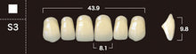 Load image into Gallery viewer, New Ace 2-Layer Acrylic Anterior Denture Teeth - Mega Dental Art Supply