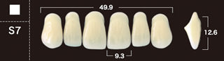 New Ace 2-Layer Acrylic Anterior Denture Teeth - Mega Dental Art Supply