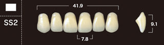 New Ace 2-Layer Acrylic Anterior Denture Teeth - Mega Dental Art Supply