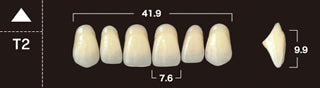 New Ace 2-Layer Acrylic Anterior Denture Teeth - Mega Dental Art Supply