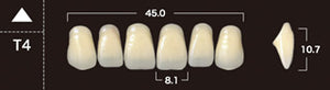 New Ace 2-Layer Acrylic Anterior Denture Teeth - Mega Dental Art Supply