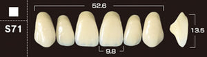 Crown PX Premium 3-Layer Composite Anterior Denture Teeth - Mega Dental Art Supply
