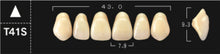 Load image into Gallery viewer, Crown PX Premium 3-Layer Composite Anterior Denture Teeth - Mega Dental Art Supply