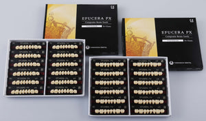 Efucera PX Premium 3-Layer Composite Posterior Upper Denture Teeth - Mega Dental Art Supply